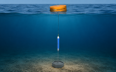 The PTO system that makes wave energy work